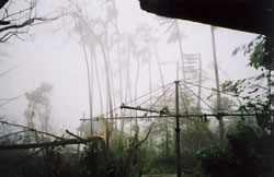 Cyclone Larry hits Babinda, Queensland
