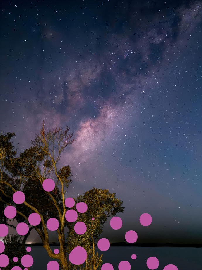 Image for QSO Symphony Under the Stars