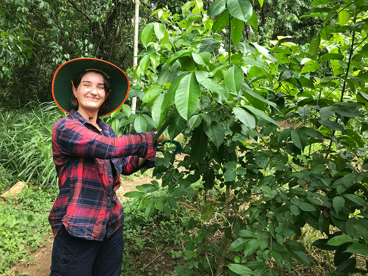 Woman inspecting mid-sized tree