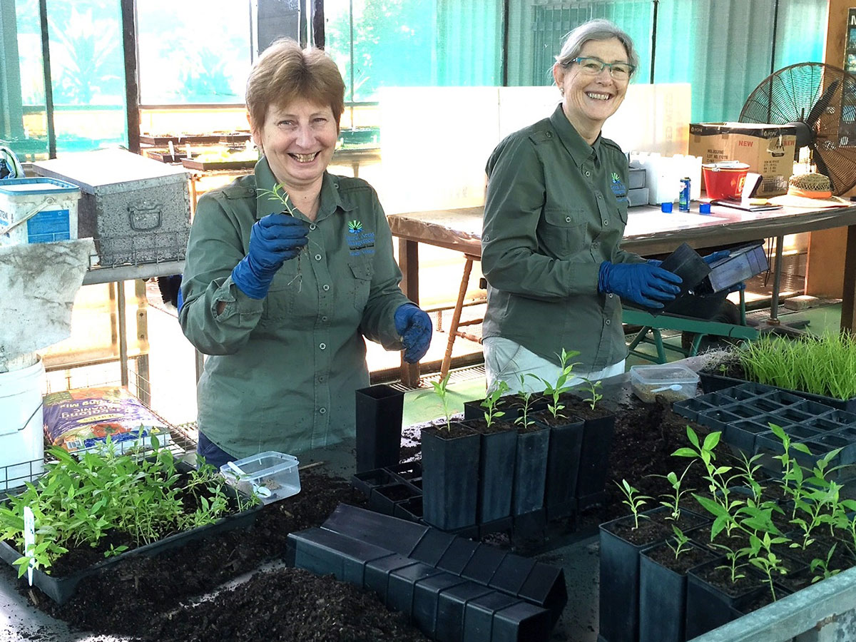 Two volunteers potting seedlings