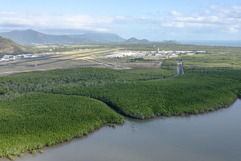 Mangrove forest at mouth of Saltwater Creek near the Airport