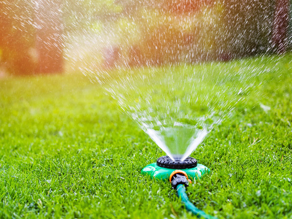 Level 4 water restrictions lifted image