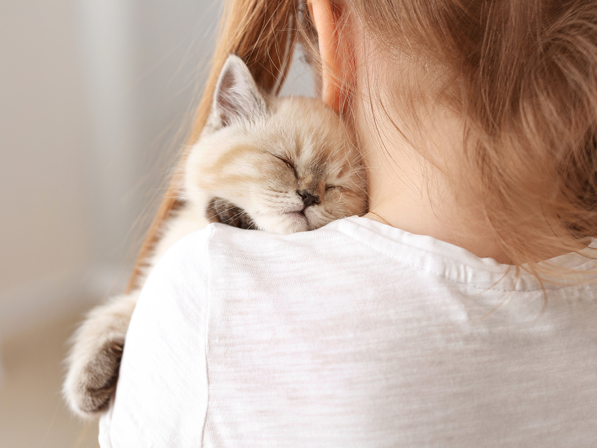 Share the love at Cat Adoption Day image