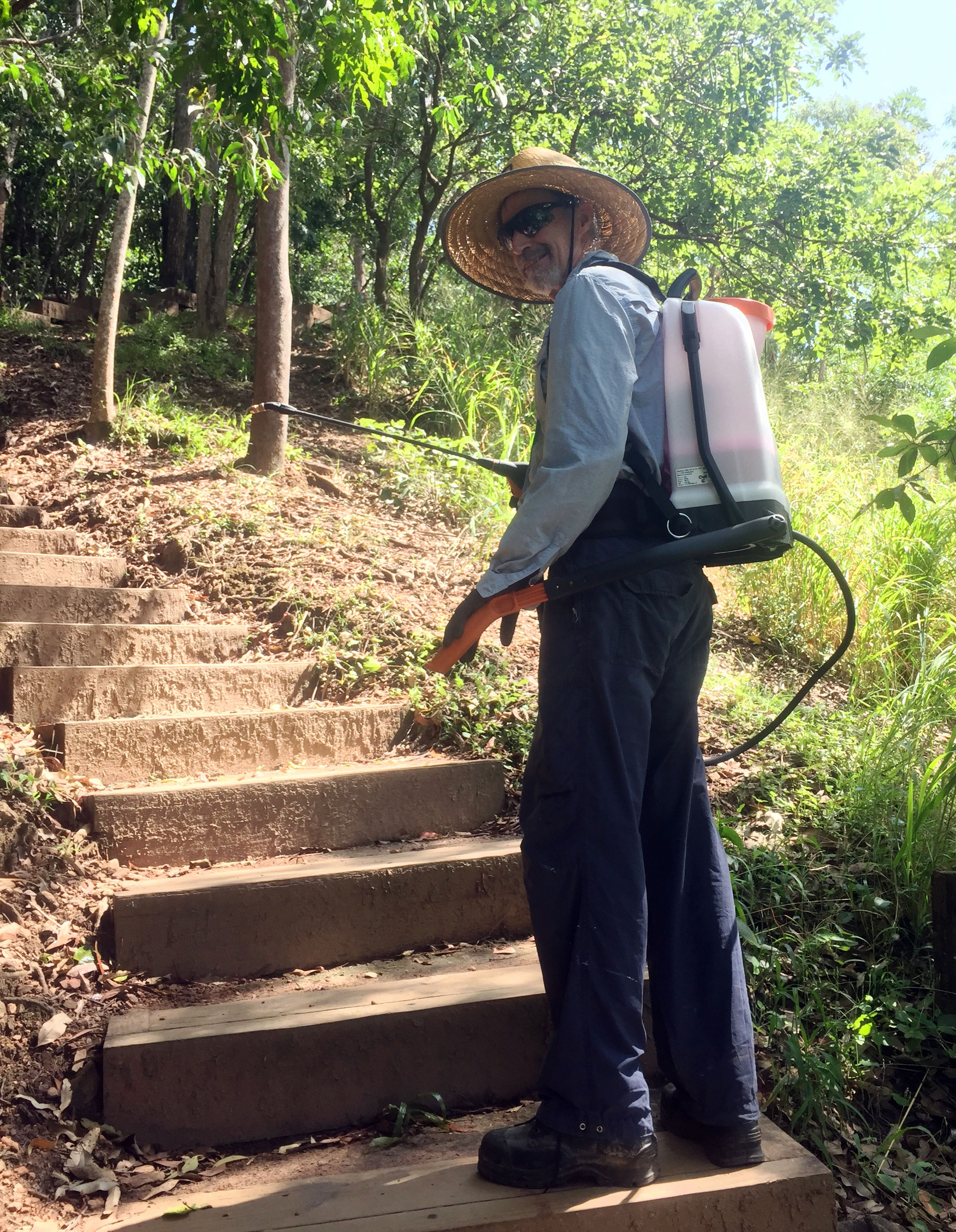 Man sprays weeds on wooden steps