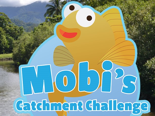 Mobi educational tools