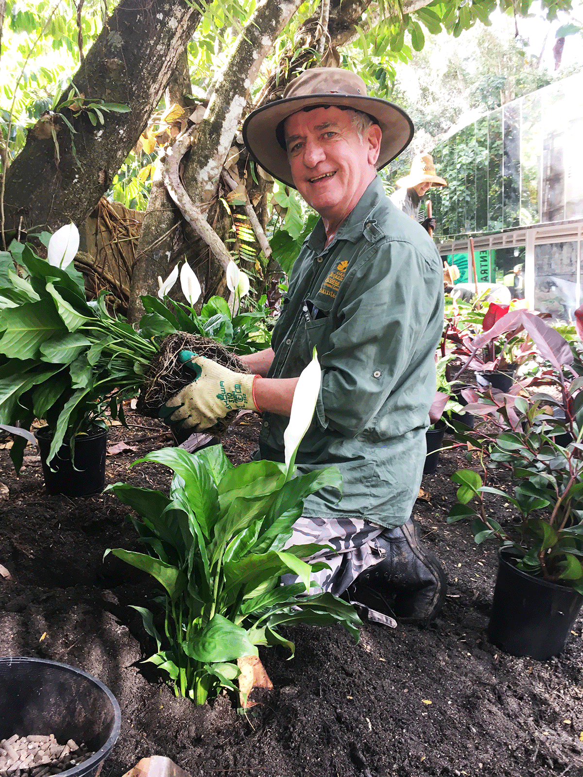 Volunteer kneeling in a garden adding new lilies