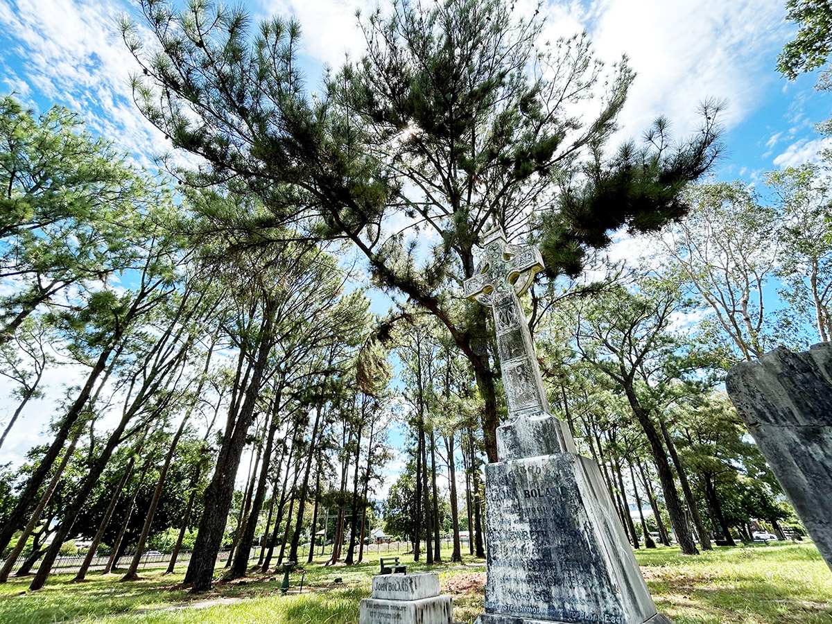 Continued support for pioneer cemetery walks image