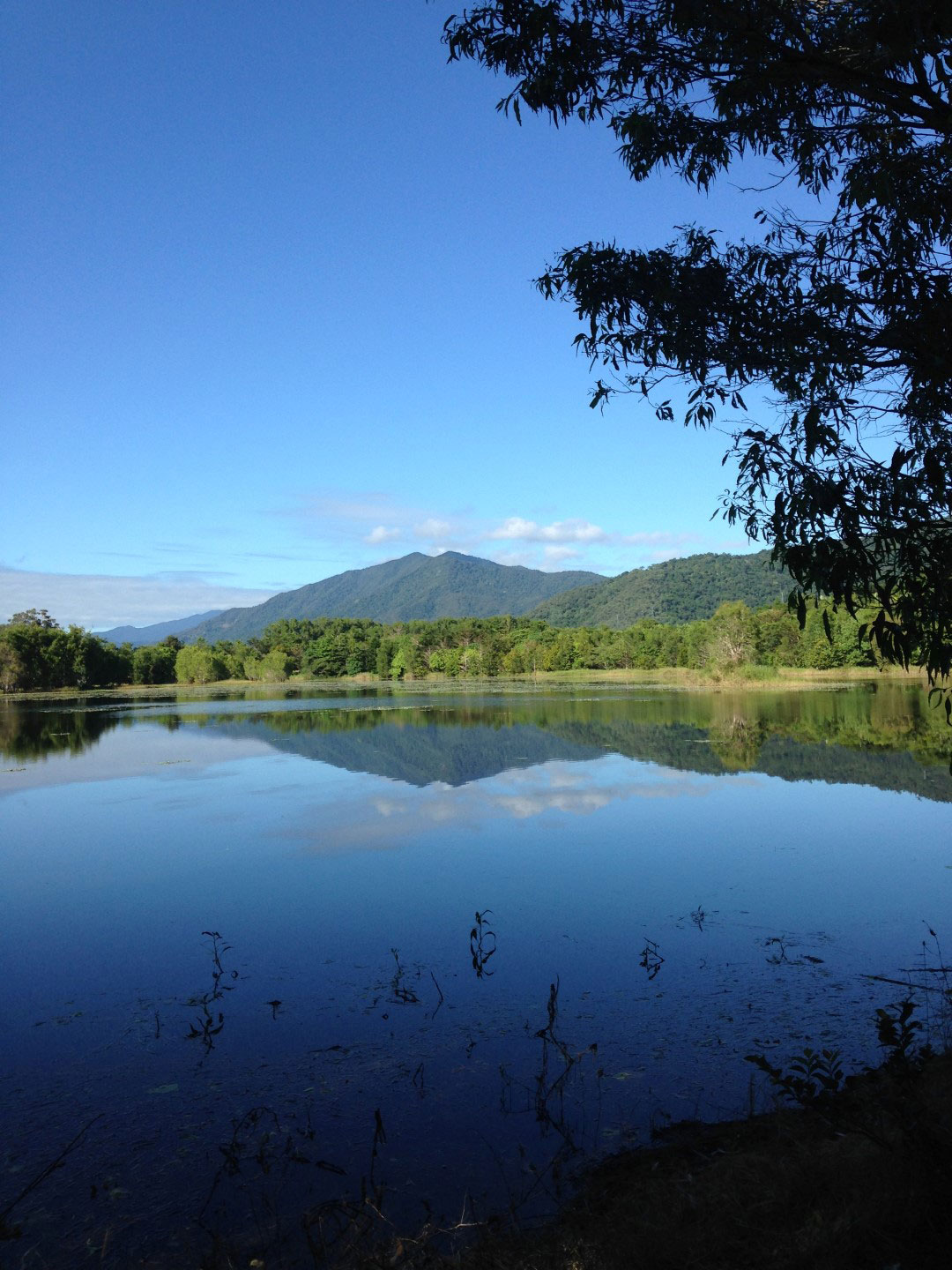 Landscape showing lake in Catanna Wetlands with mountain and trees