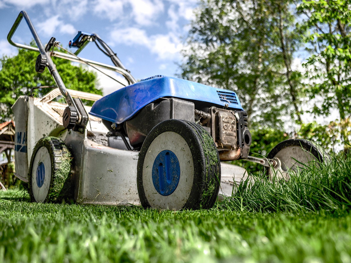 Close up of a blue and white lawn mower