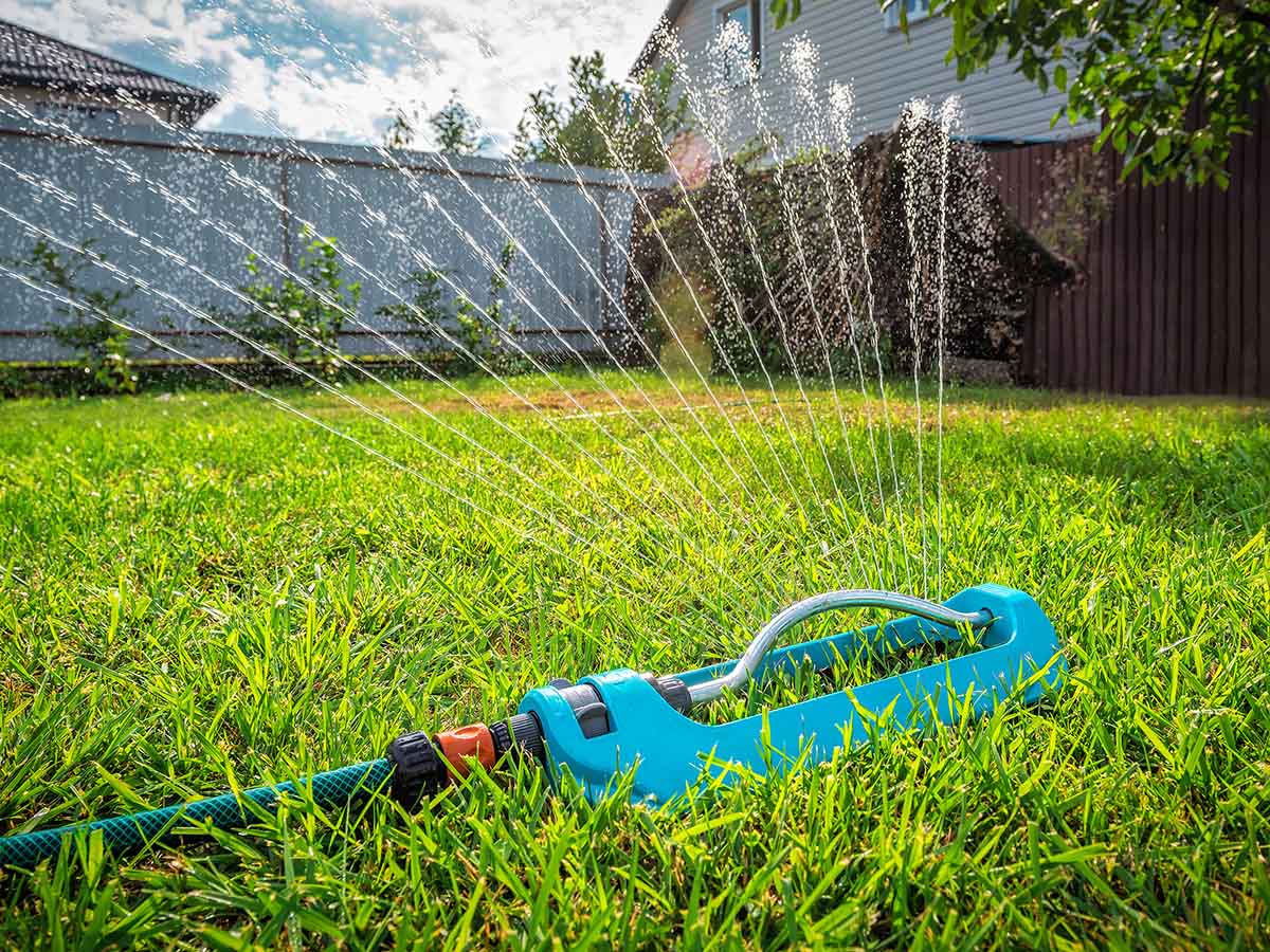 Council monitoring water supply ahead of forecast heavy rainfall this wet season image