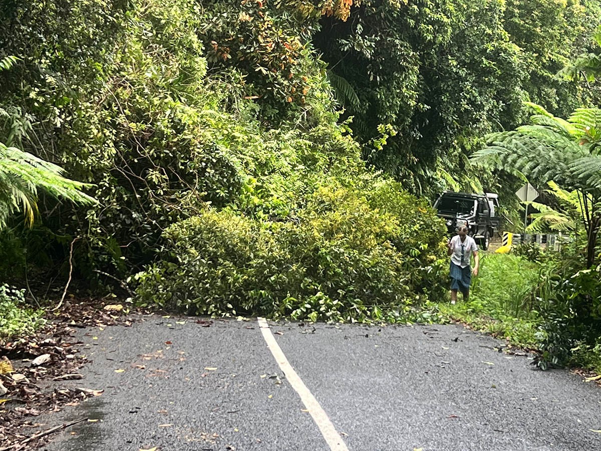 Closures and updates following severe weather image