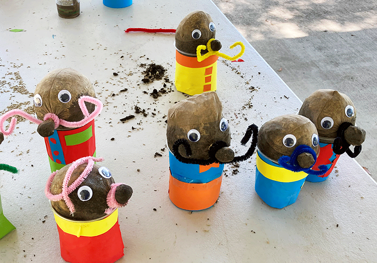Collection of 6 coconut people create during craft activity