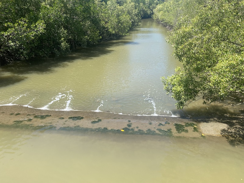 Saltwaer Creek showing the weir and mangroves on both banks