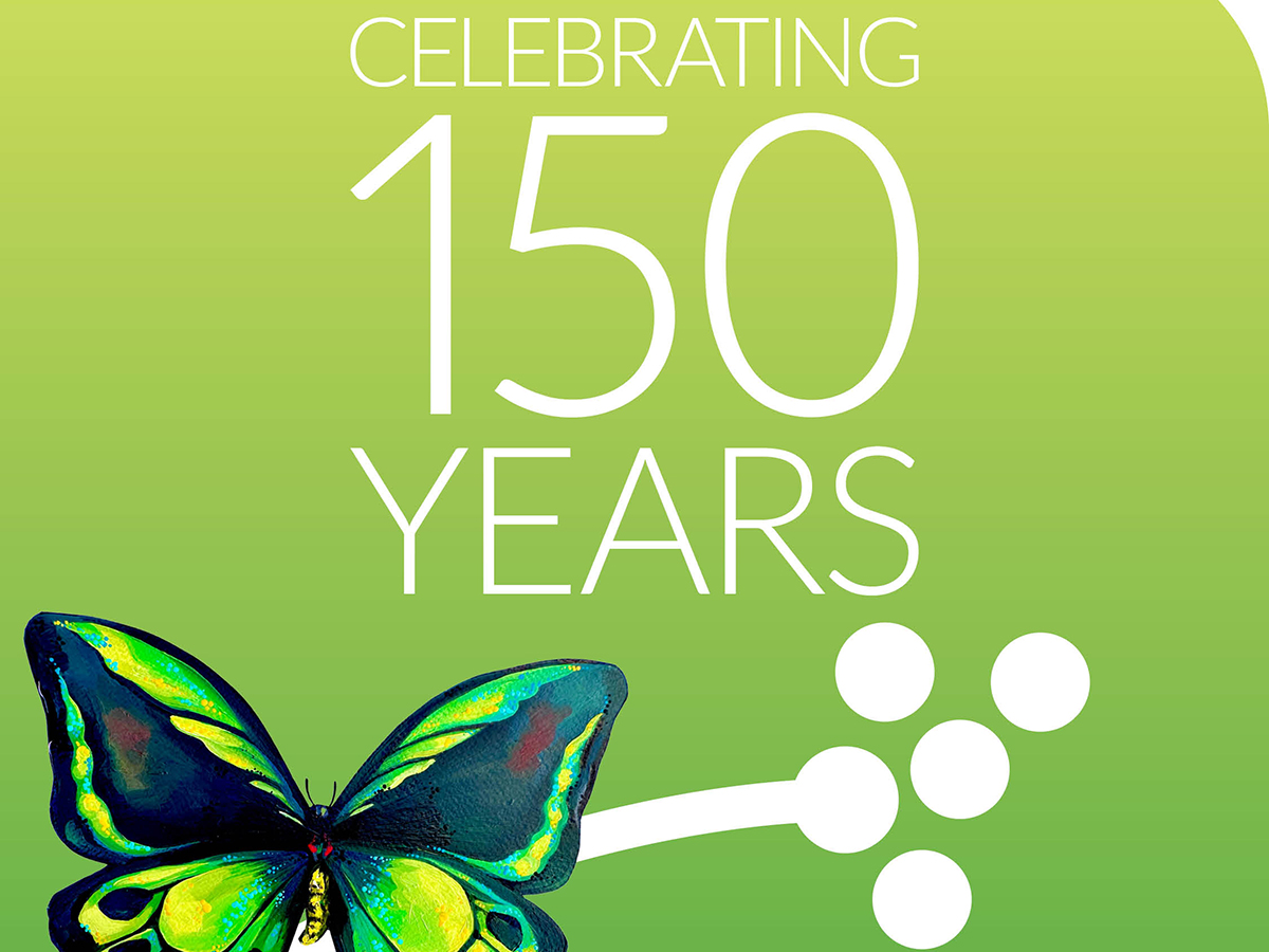 Cairns sets the stage for a landmark year image