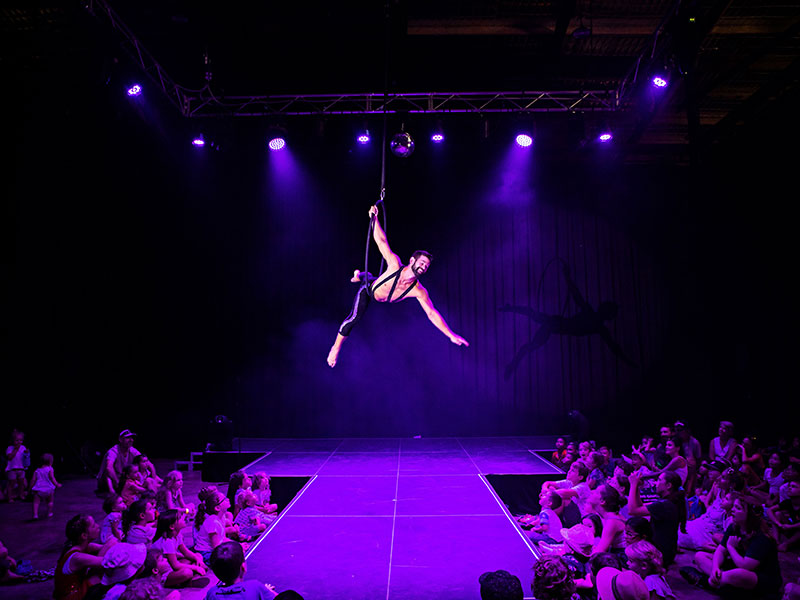 Aerial performance under purple lights