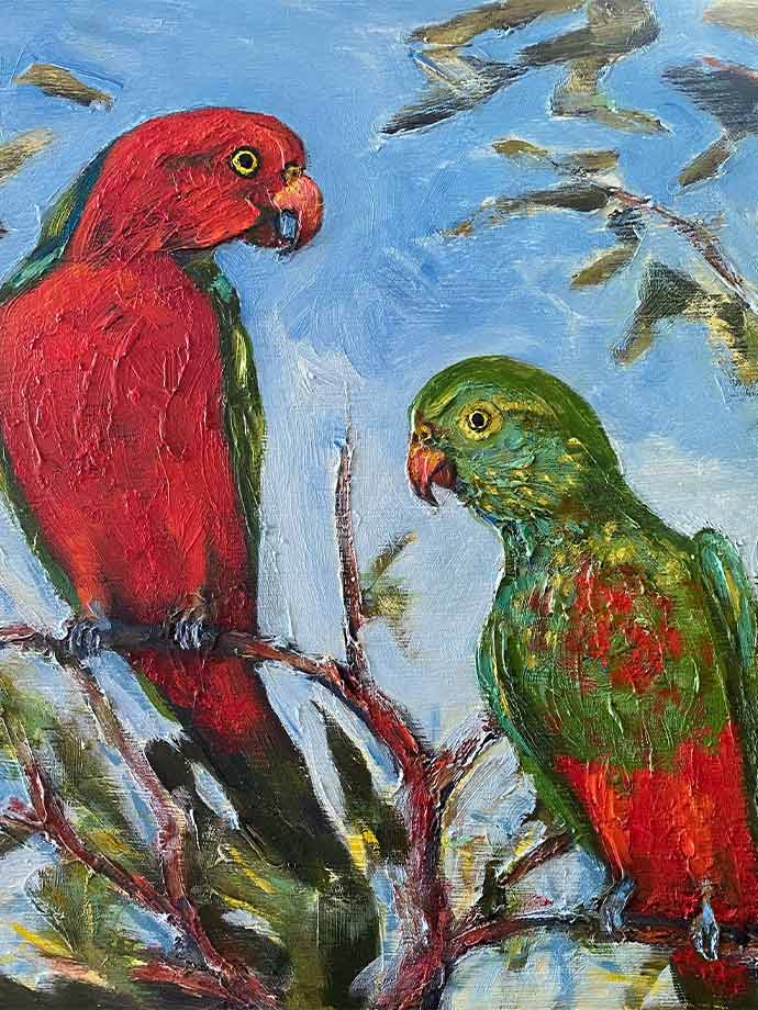 Image for Birdlife of the Cattana Wetlands