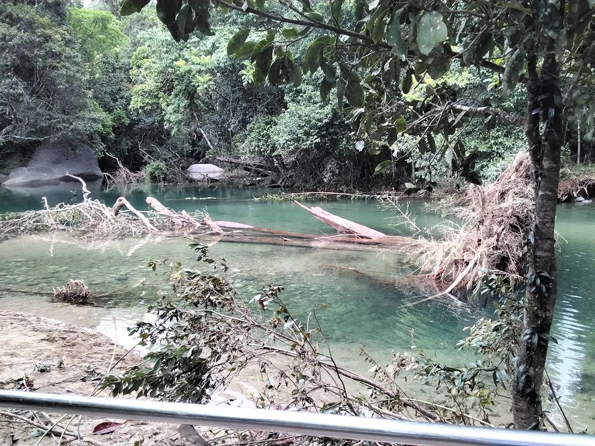 Council to undertake safety tree works at Babinda Boulders image
