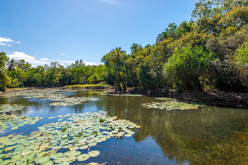 Freshwater Lake at Centenary Lakes with Lily pond