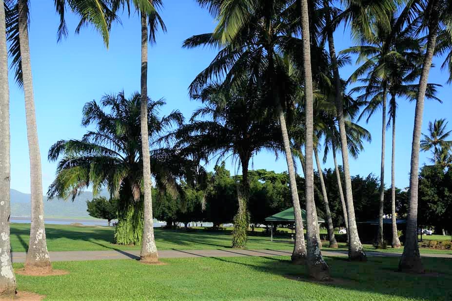 Coconut Grove