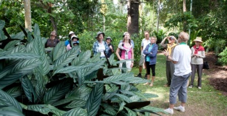 Guided walks are held in the Cairns Botanic Gardens.