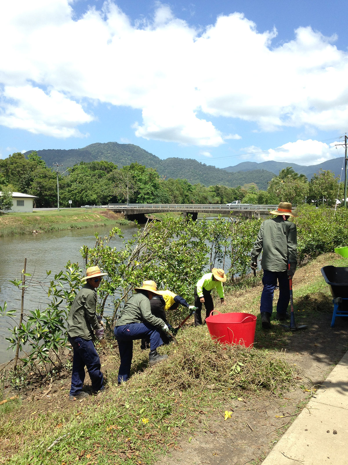 Group of 5 volunteers removing weeds along Saltwater Creek