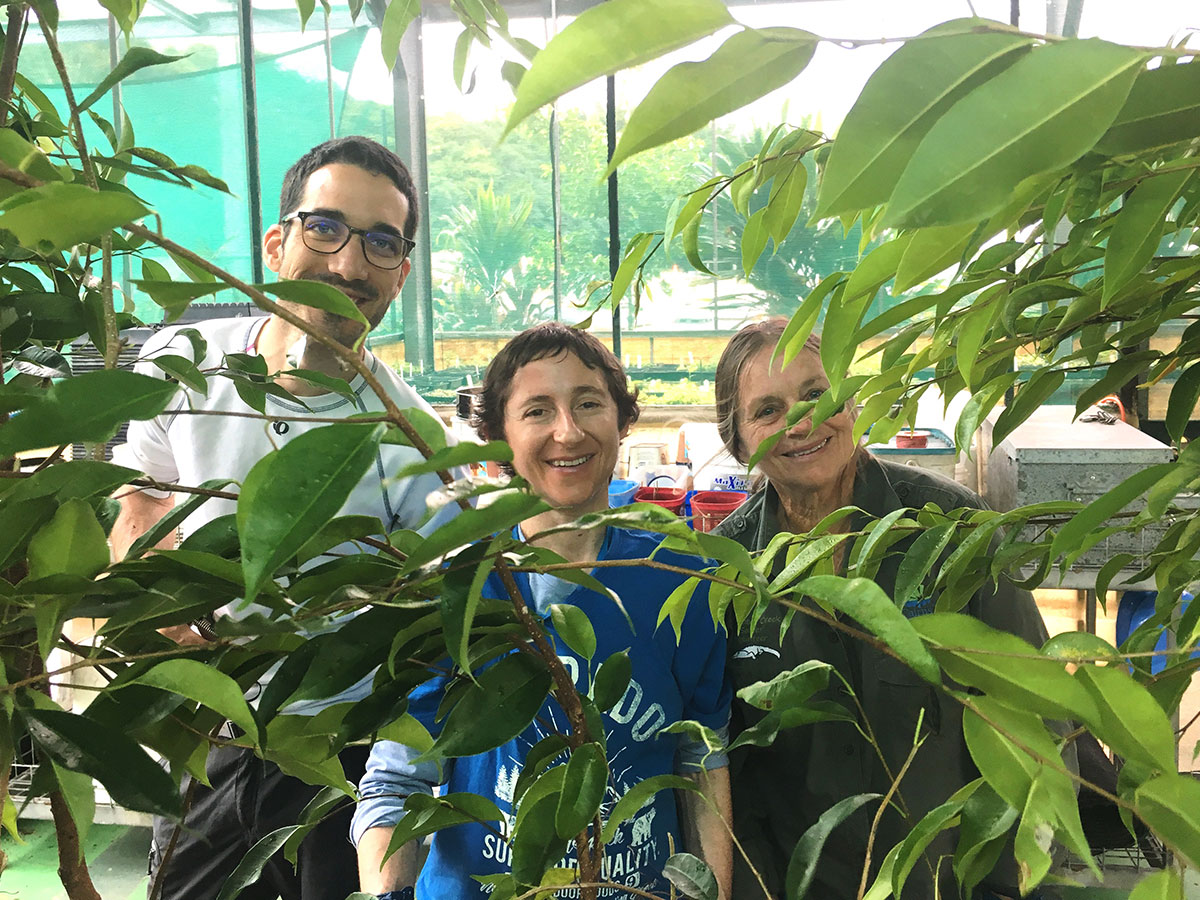 Three volunteers in the nursery peeking through foliage