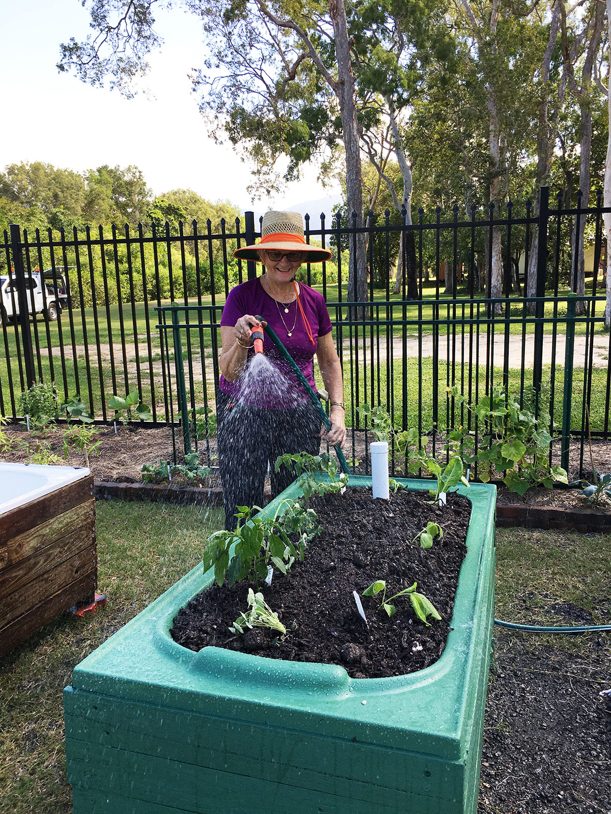 Volunteer watering newly planted vegetables in a wicking bed made from an old bathtub
