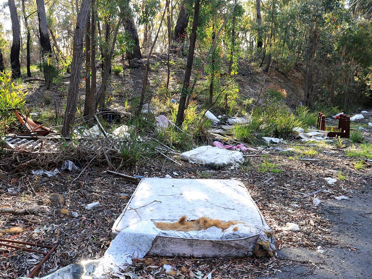 Program targets illegal dumping across Cairns image