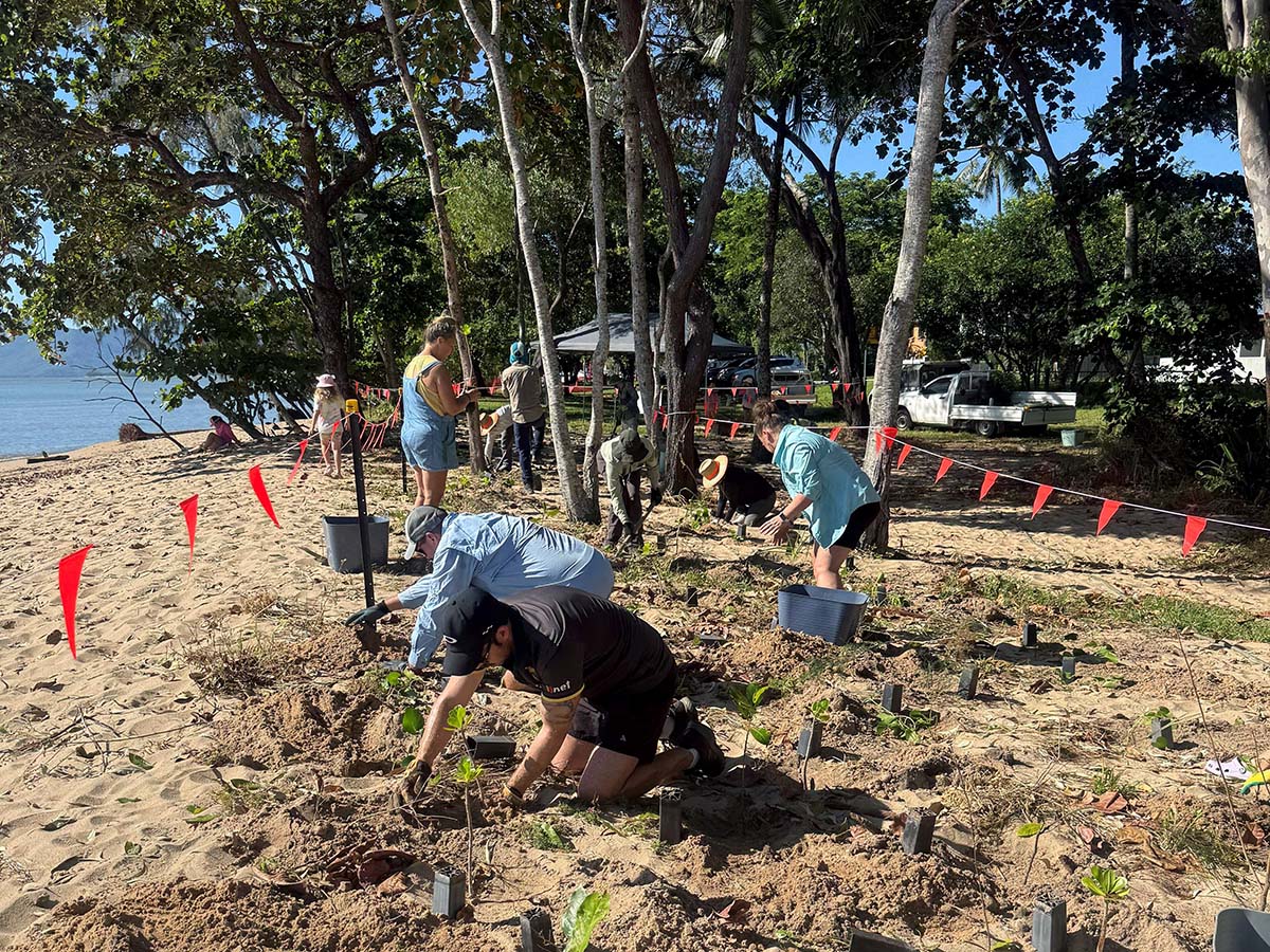 Community takes action against coastal erosion image