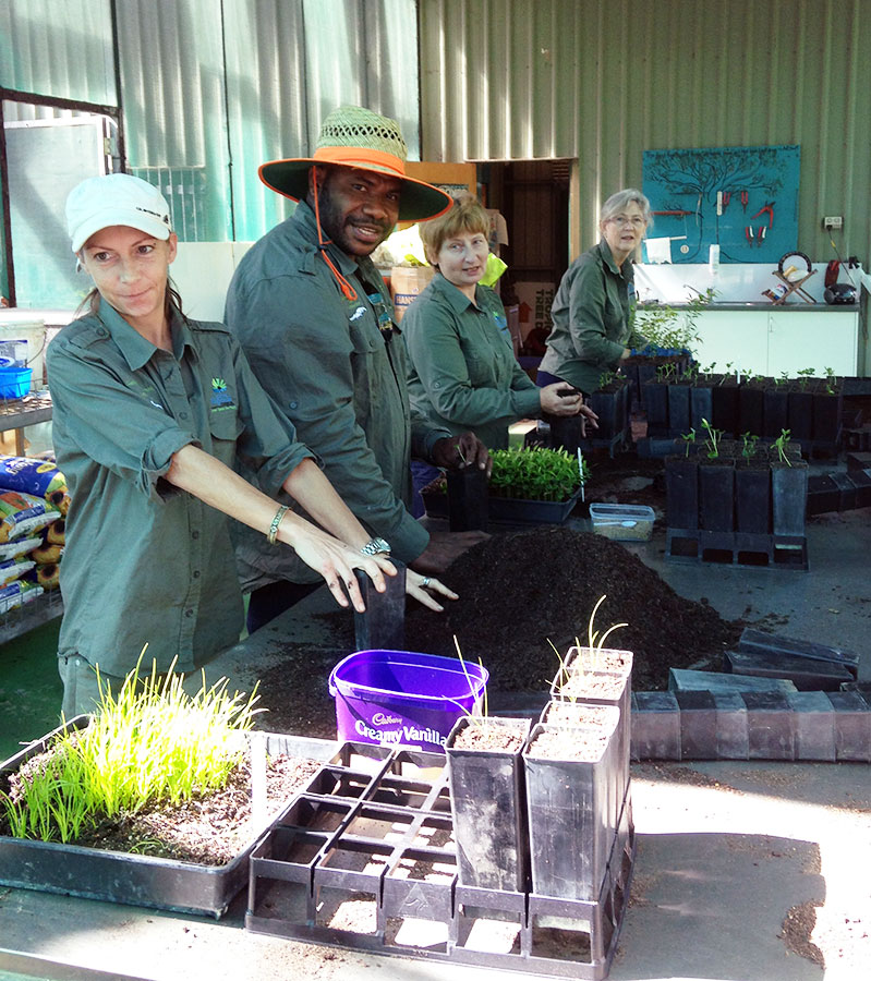 Volunteers preparing potting mix for new tube stock