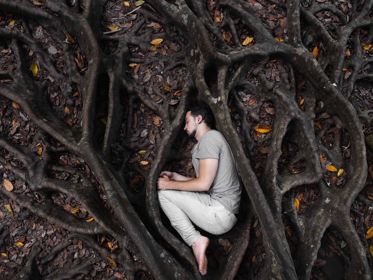 Understory Film Festival