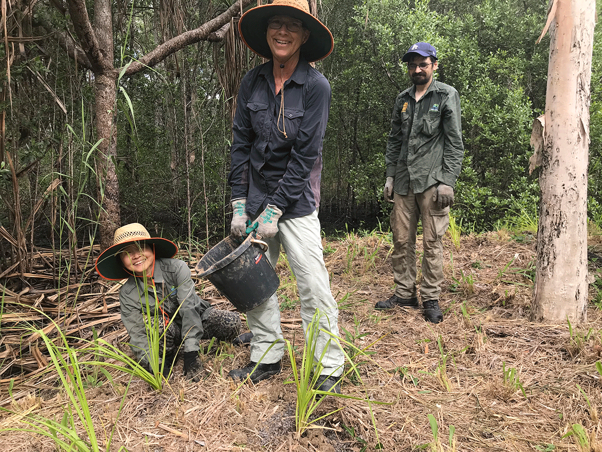 Three volunteers standing in front of newly planted grasses