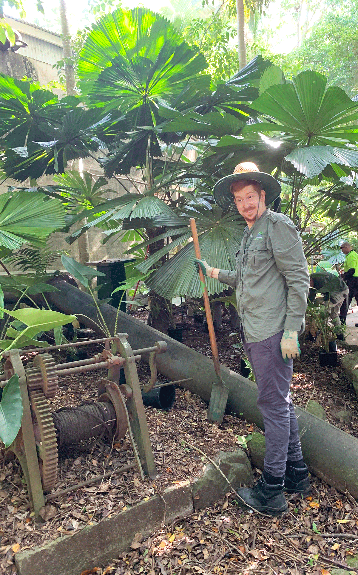 Volunteer clearing weeds in the historic Tanks Arts Centre precinct