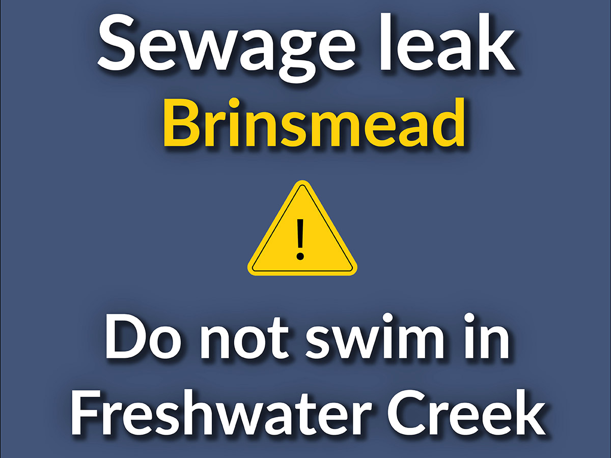 Sewage leak in Brinsmead, do not swim in Freshwater Creek image