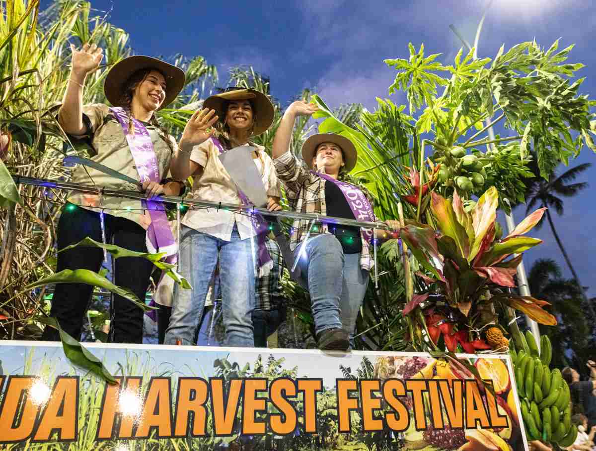 Grant support for community events in Babinda and Yorkeys Knob  image