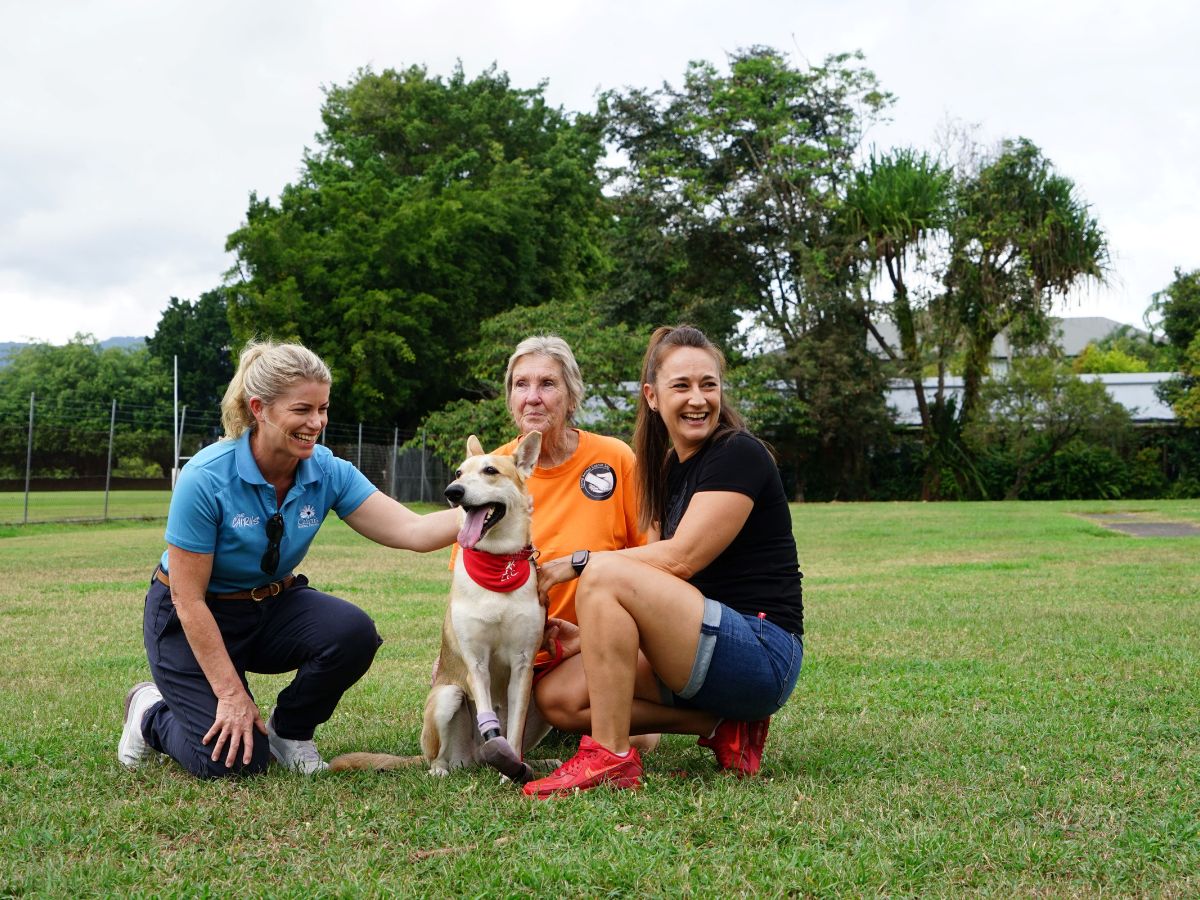 Puppy love: Return of Council’s Dog Adoption Day image