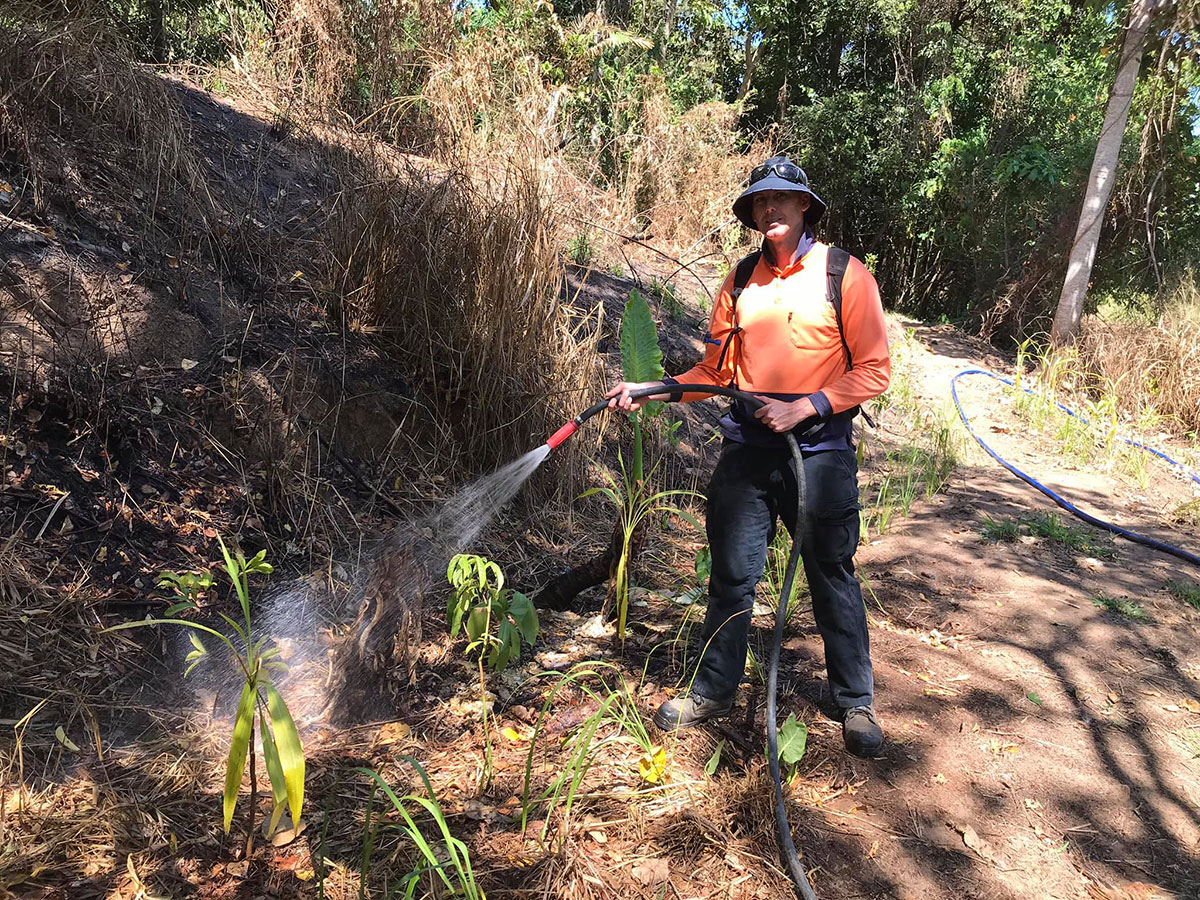 Volunteer watering newly planted palms