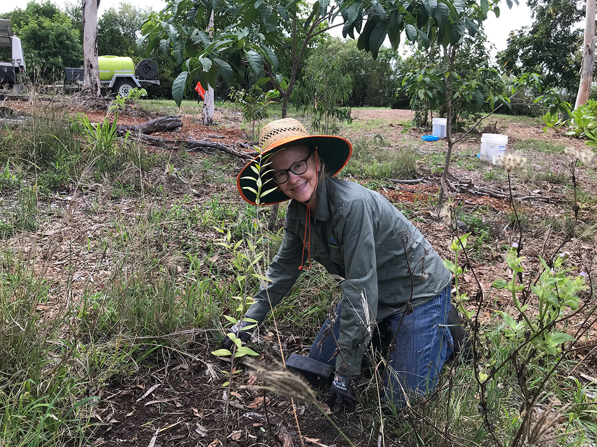 Smiling woman on knees with newly planted sapling