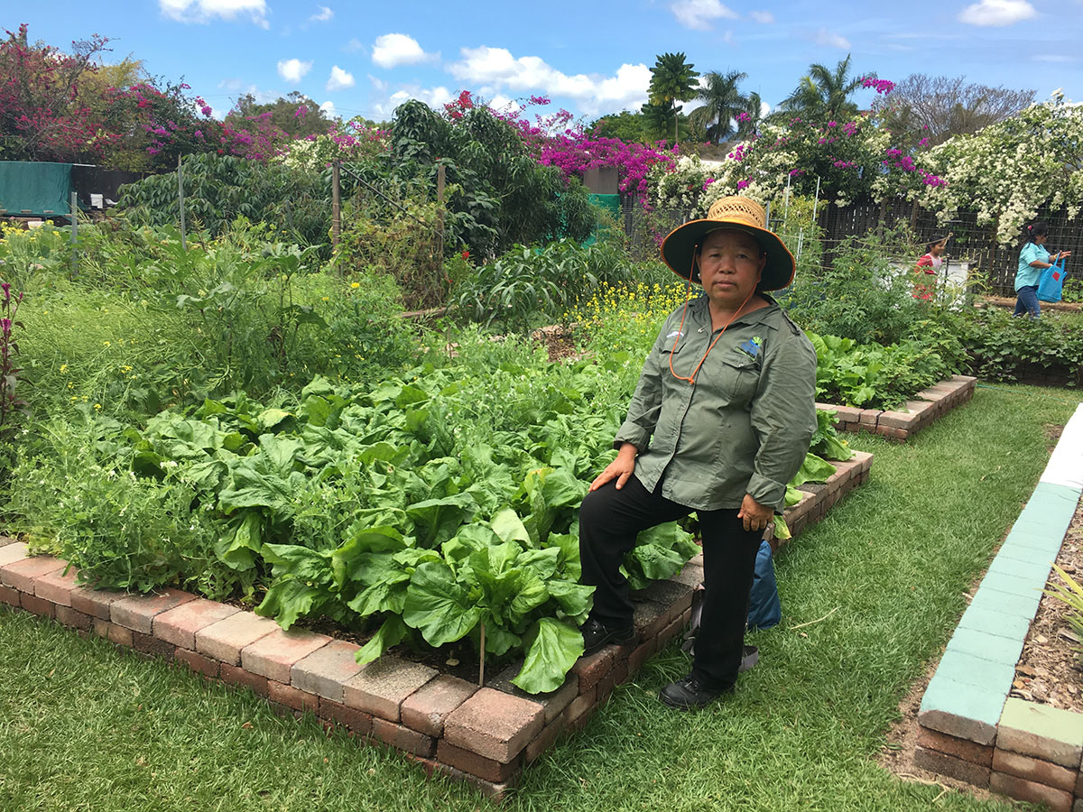 Volunteer admiring produce grown in neighbourhood pocket garden