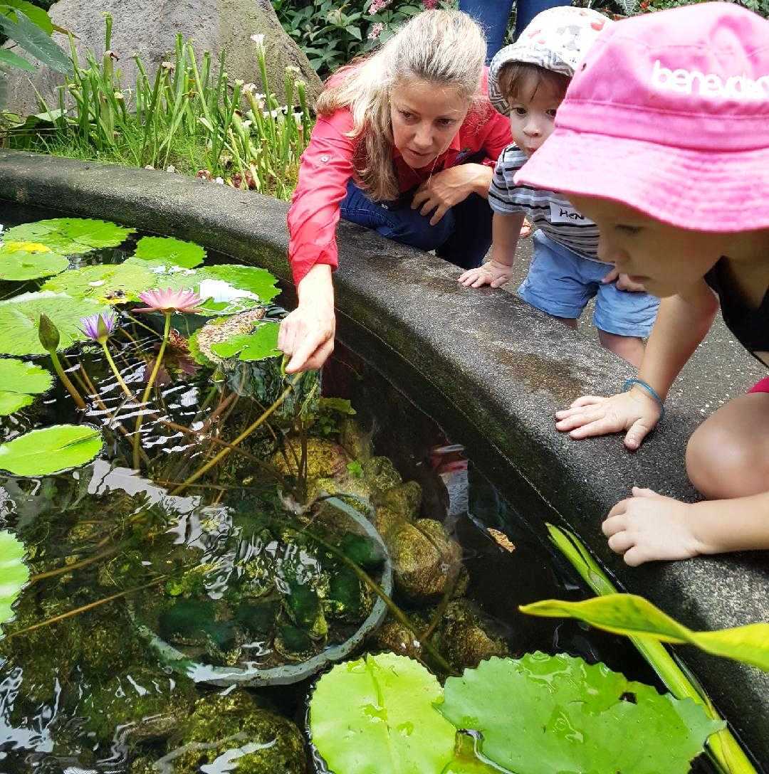 Volunteer pointing water plants to two children while leaning over pond in the Cairns Botanic Gardens Conservatory