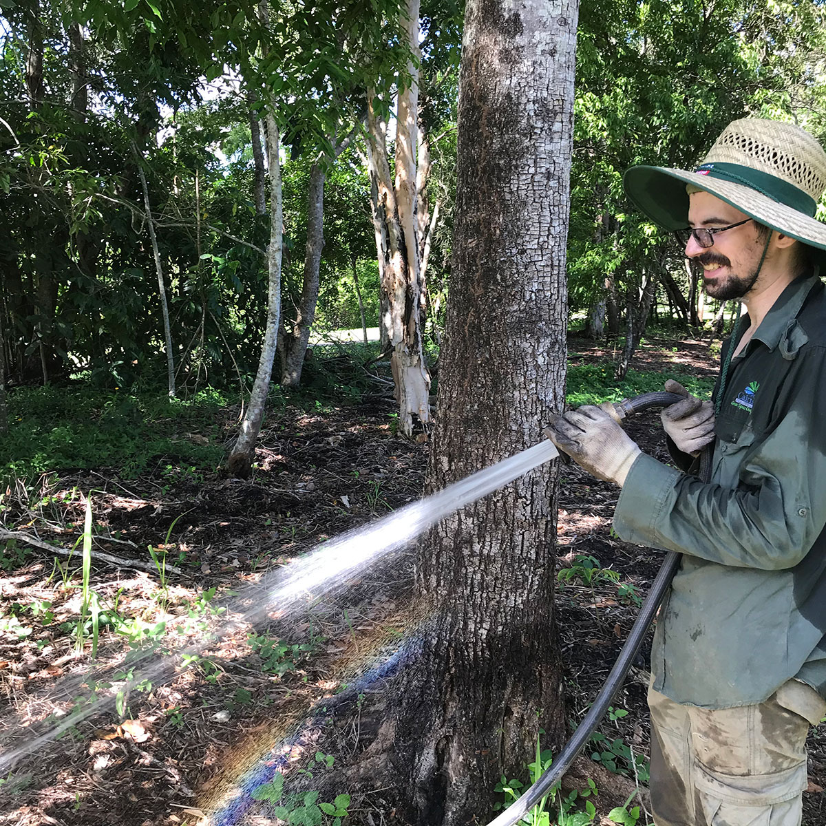 Male volunteering using hose to water new plantings