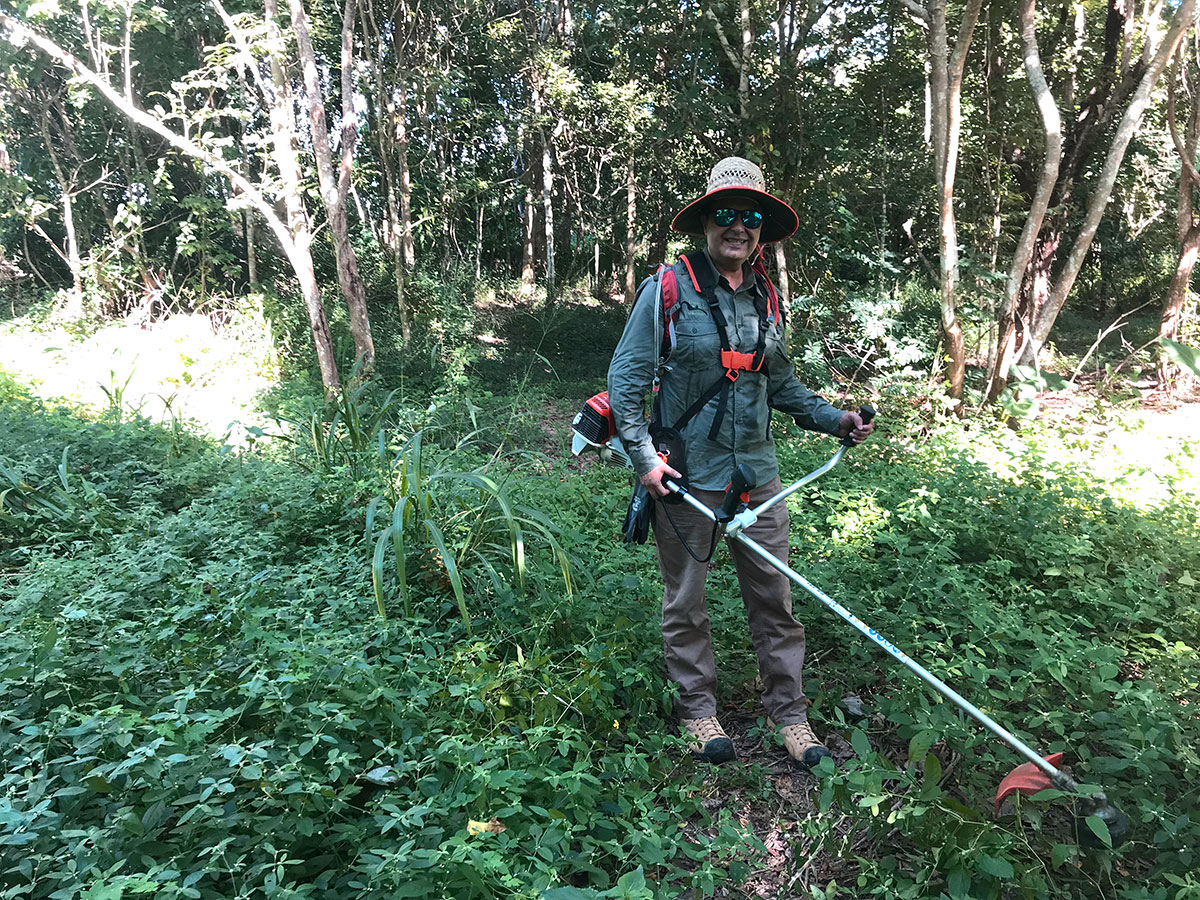 Volunteer using line trimmer to control weeds