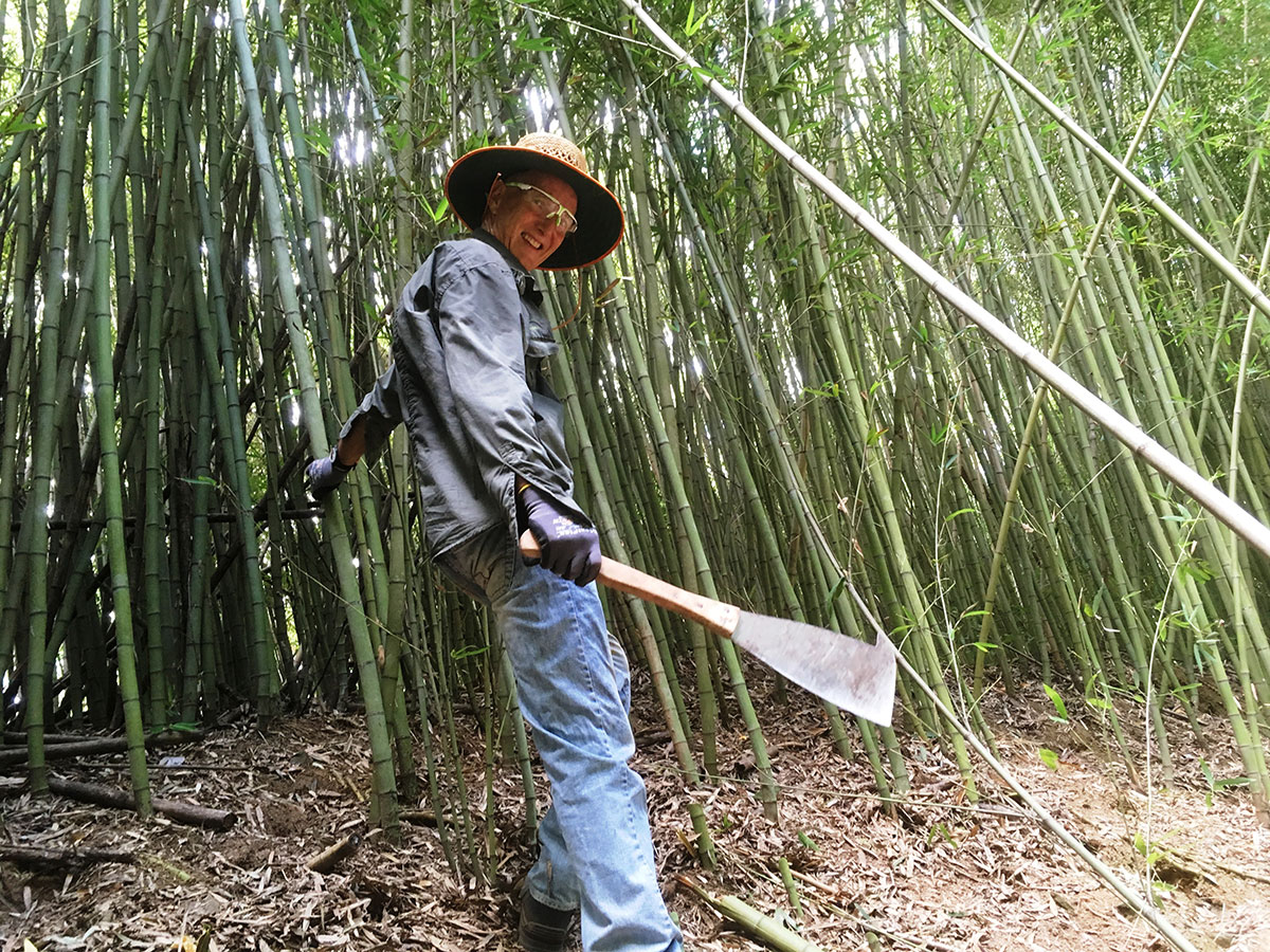 Volunteer uses cane knife to remove bamboo
