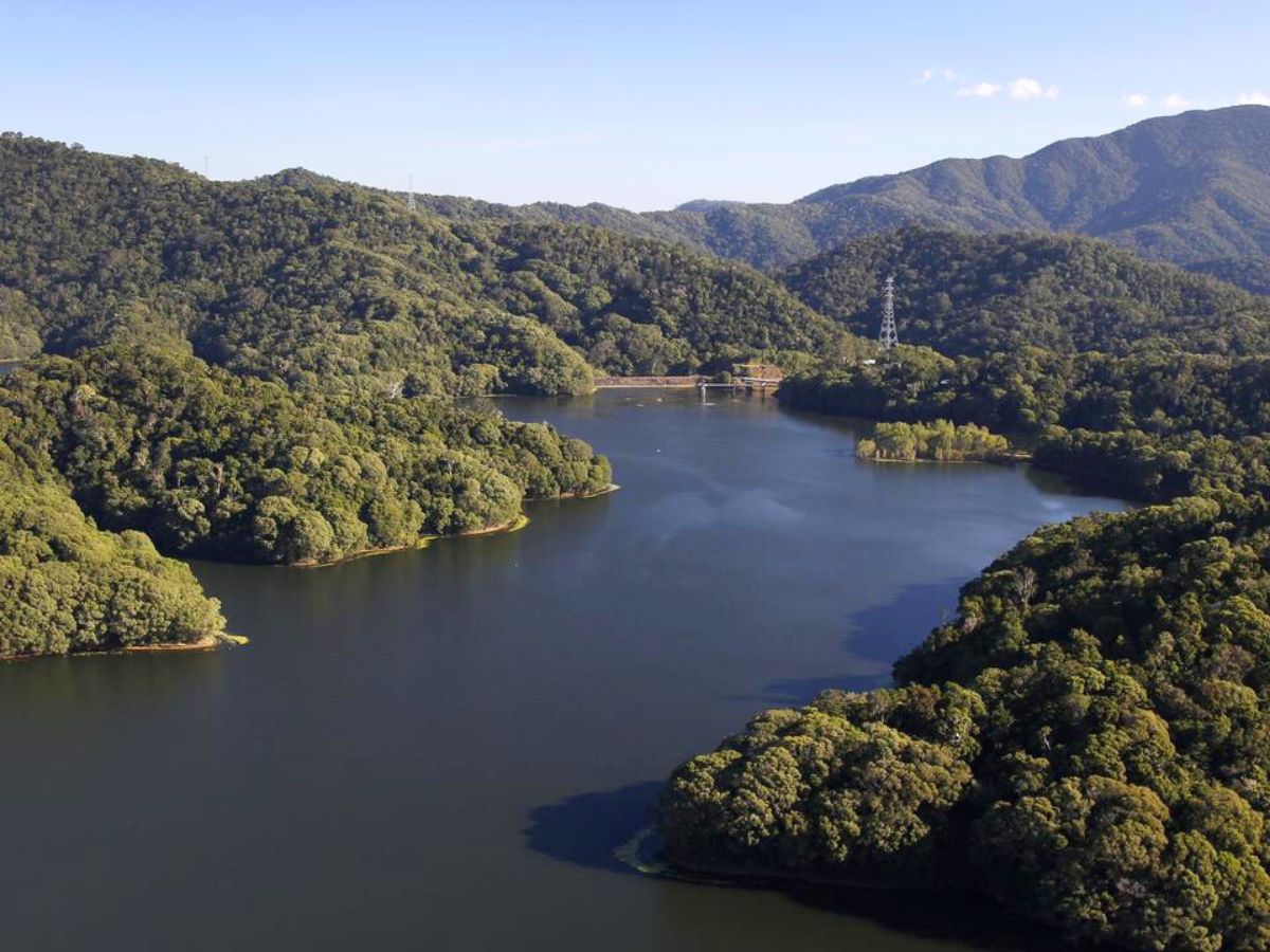 Temporary closure of Lake Morris Road  image